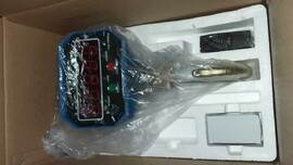 Direct-viewing Electronic Hoist Scale