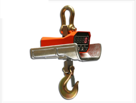 Direct-viewing High-temperature-resisting Electronic Hoist Scale