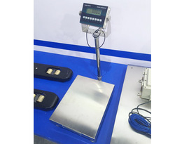 Anti-explosion Electronic Platform Scale