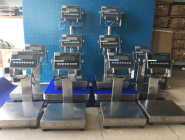 Anti-explosion Platform Scale