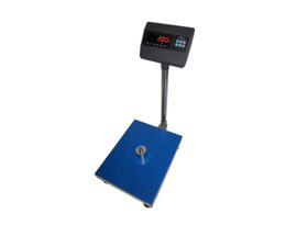 Yaohua A6 Platform Scale