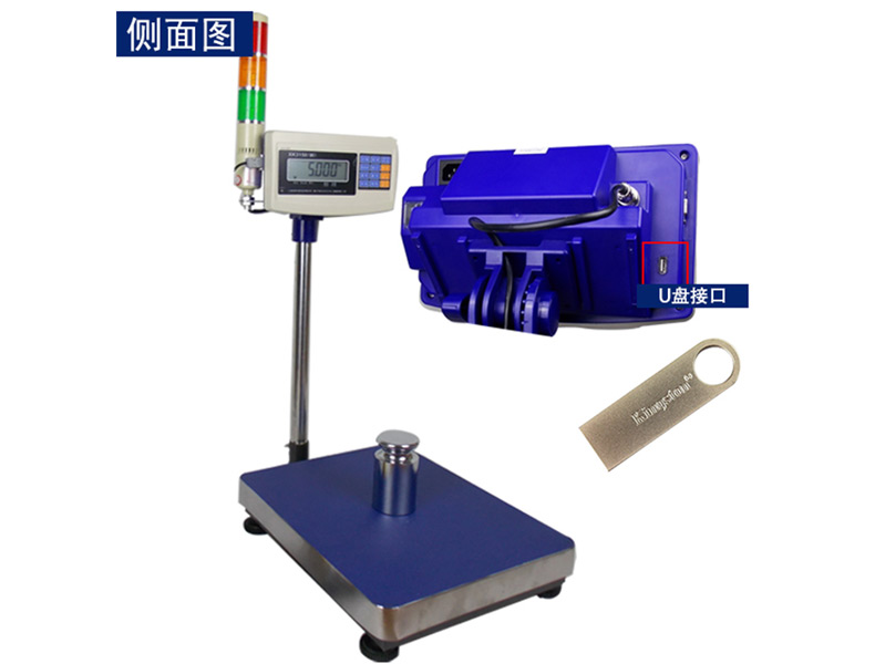 Excell Alarm Platform Scale