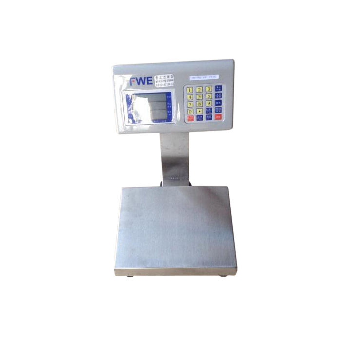 Stainless Steel Small Platform Scale