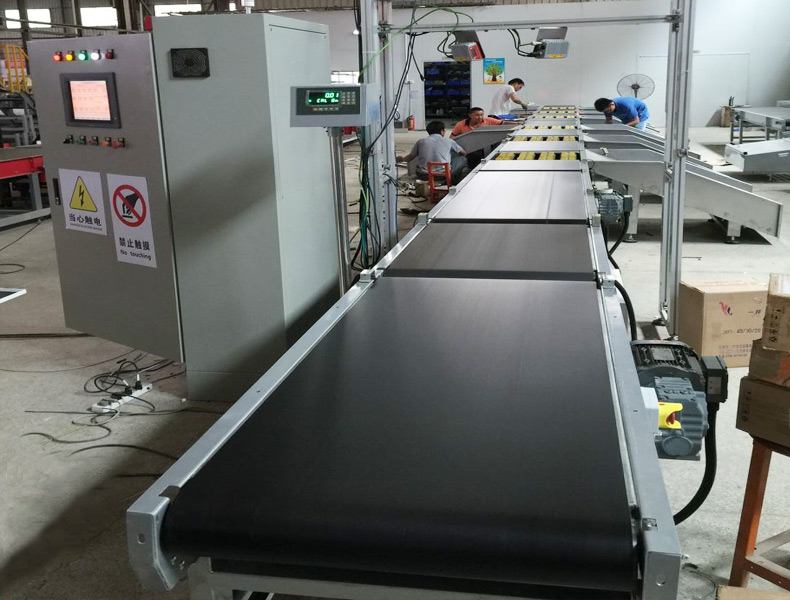 Belt Conveying Scale