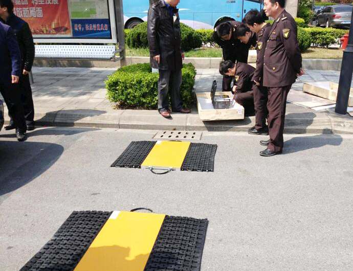 Portable Axle Load Scale