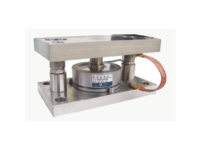 Weighing Module BM-24-401/402/403