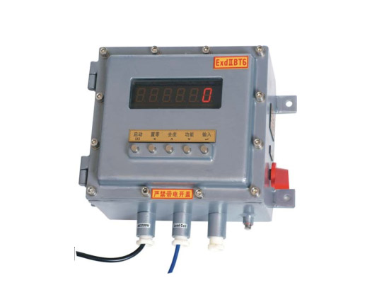 Flame-proof Type Anti-explosion Electronic Instrument