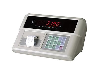 XK3190-A9P Instrument